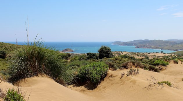 Zandduinen