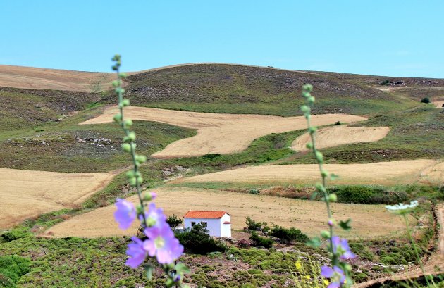 Bijzonder landschap