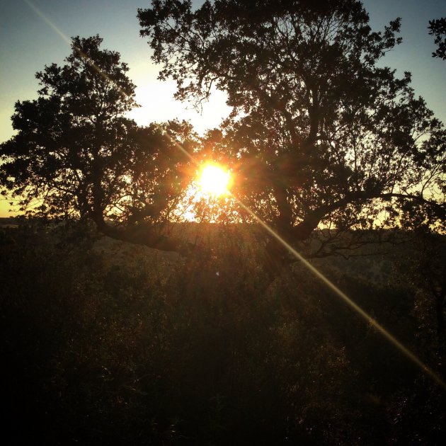 Zonsondergang Alentejo