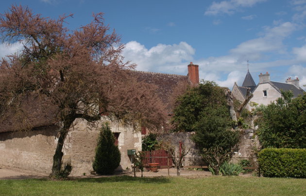 Stilleven in De Loire