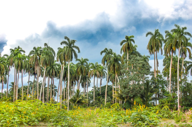 Trouwen in Baracoa?