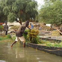 '499071' door Afrika