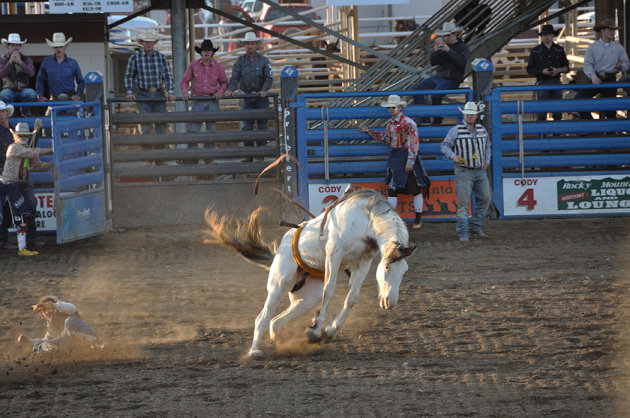 Afgeworpen tijdens de rodeo show