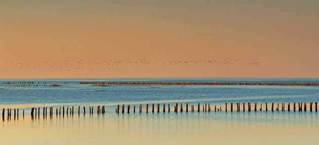 Het Wad in pastel