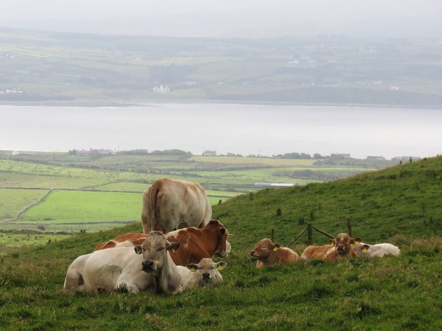 Lopend op de Cliffs of Moher