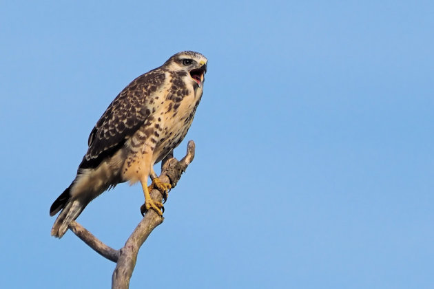 Natuur dichtbij huis