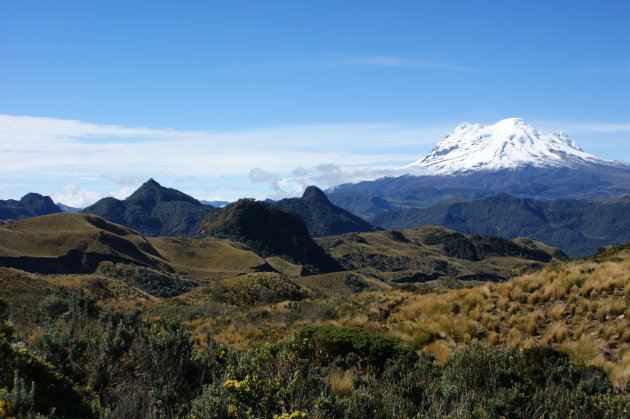 Coloso de los Andes