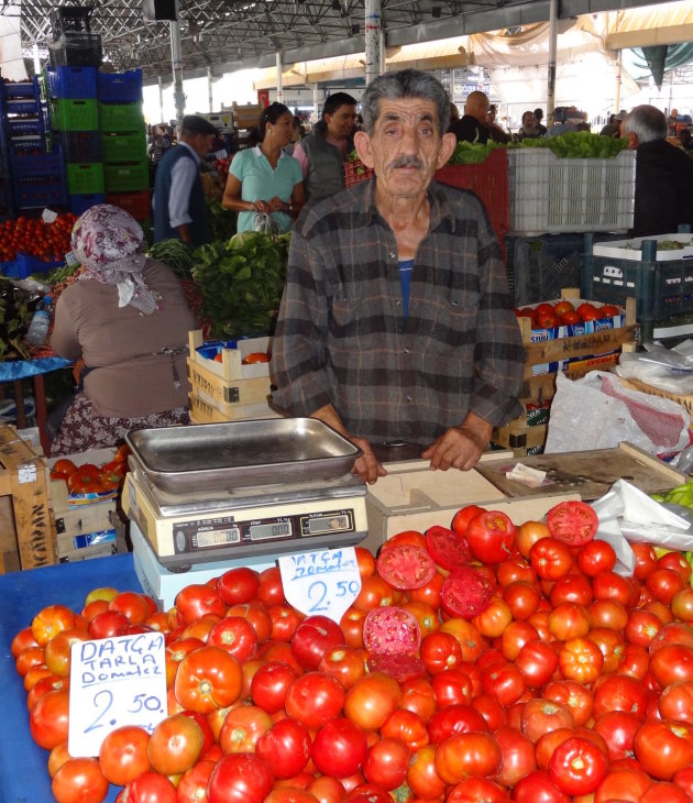 Tomaten te koop