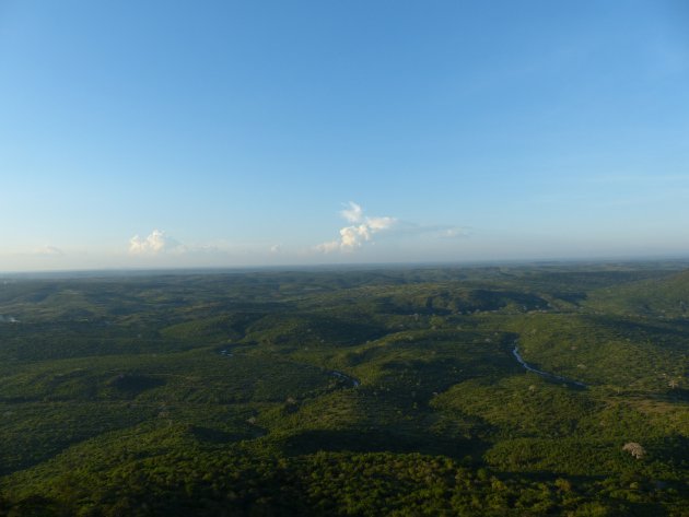 Shimba hills