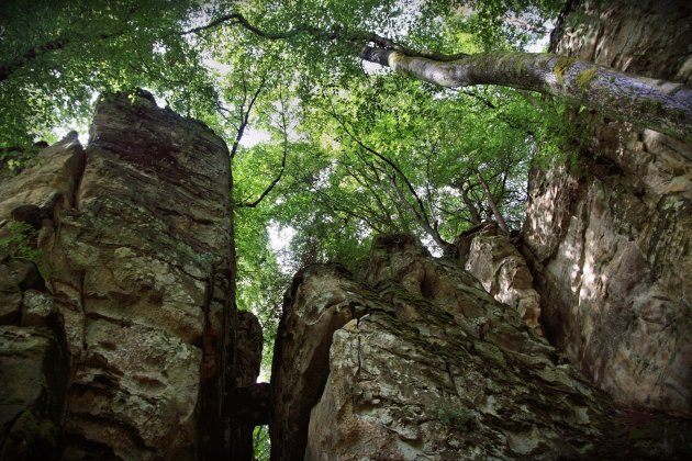 de Duivelskloof