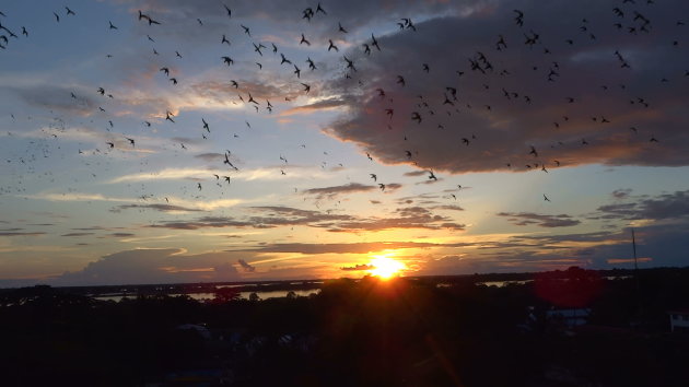 El parque de los loros, Leticia