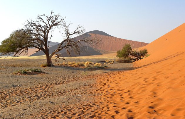 Namib woestijn