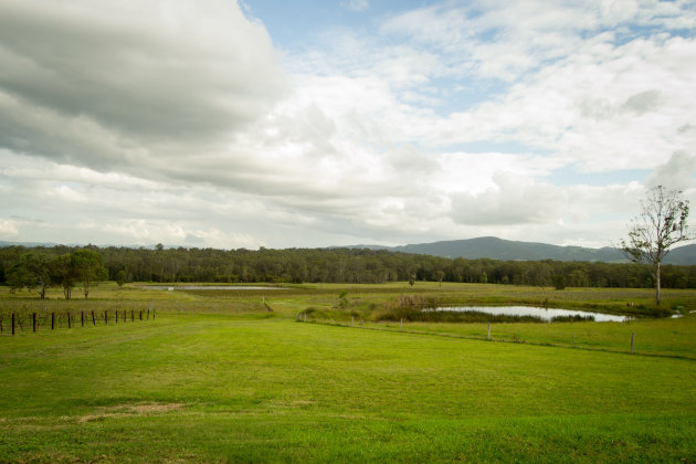 Hunter valley