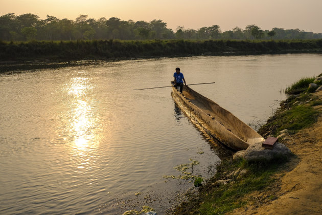 Kano's bij zonsondergang