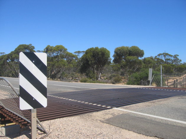 The Nullarbor: typisch outback roadbeeld: veerooster tussen de farms