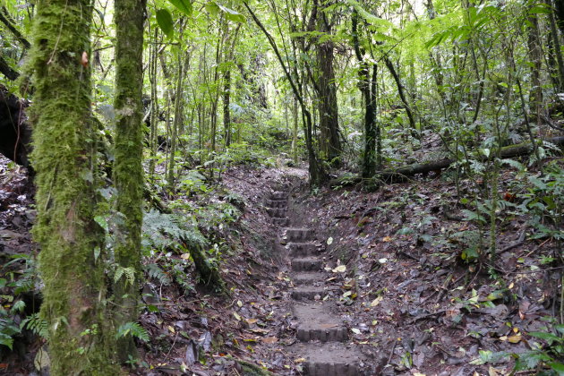 Monteverde National Park