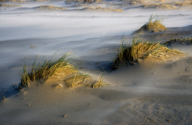 Texel; een struin- uitwaai- en natuureiland.