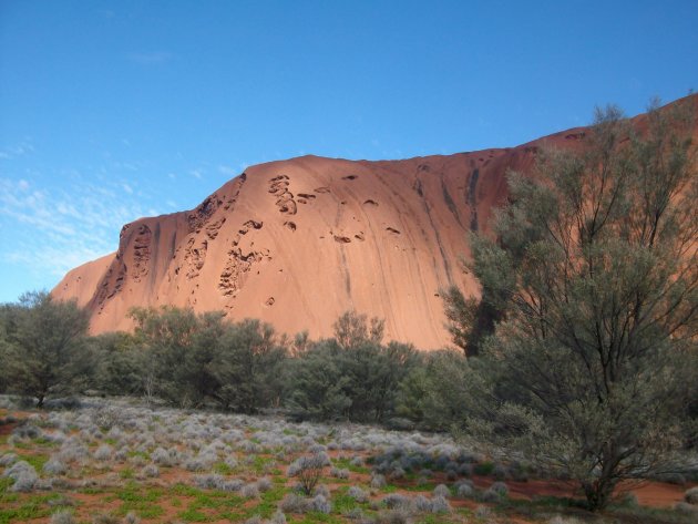 De Grote der Outback