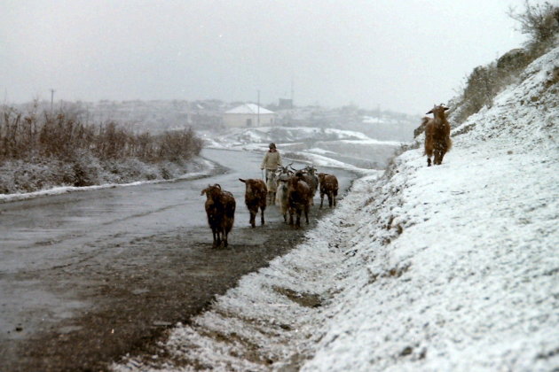 Barre winter in Albanië