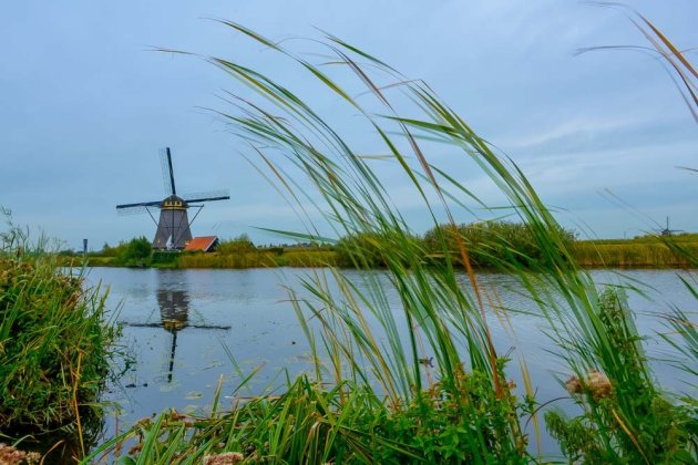 kinderdijk