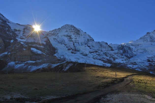 Goedemorgen in de Alpen