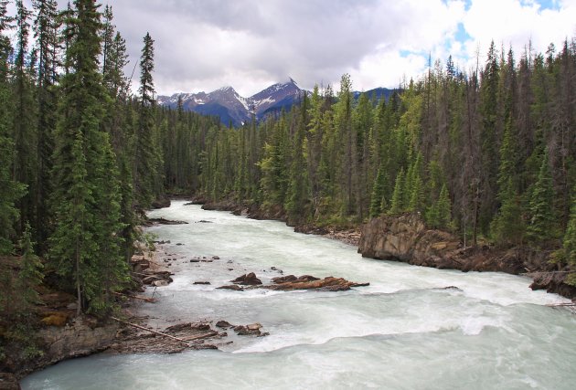 Athabasca Falls