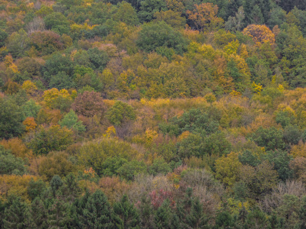 Herfstpalet