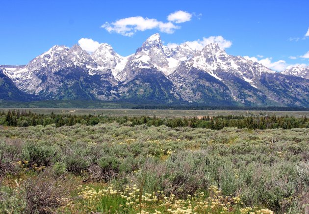 Rij langs de Grand Teton in Wyoming 