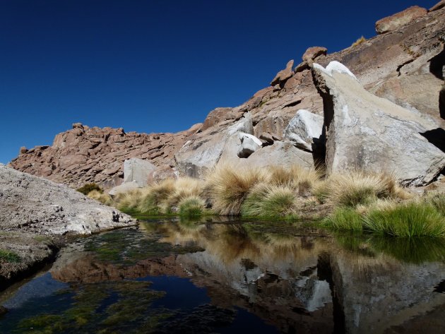 In de buurt van El Tatio.