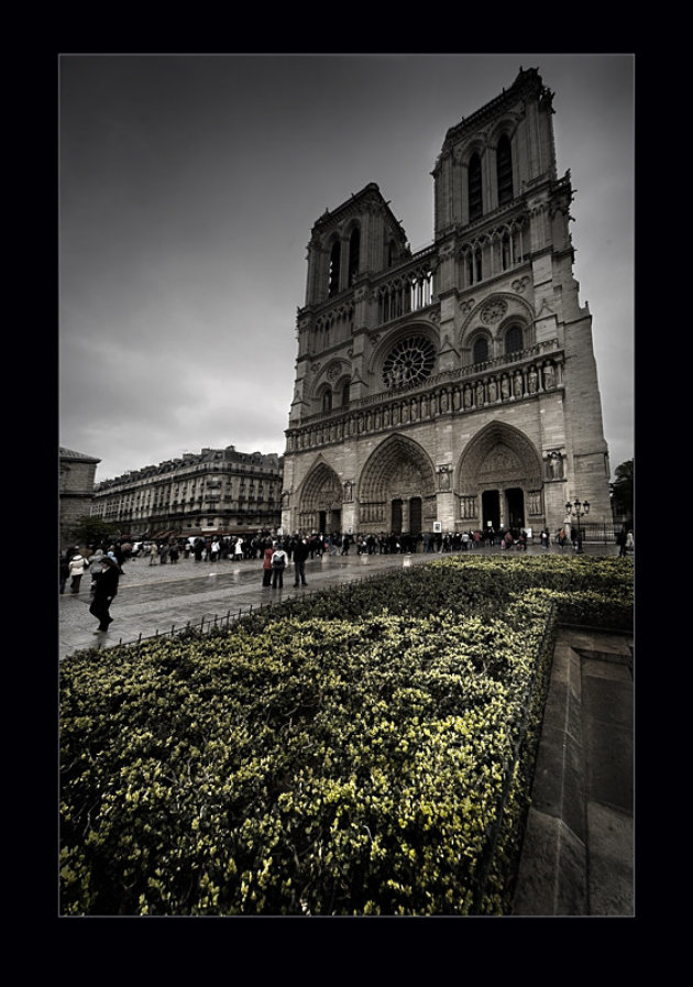 notre dame