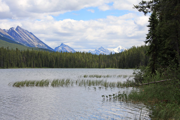 Jasper NP