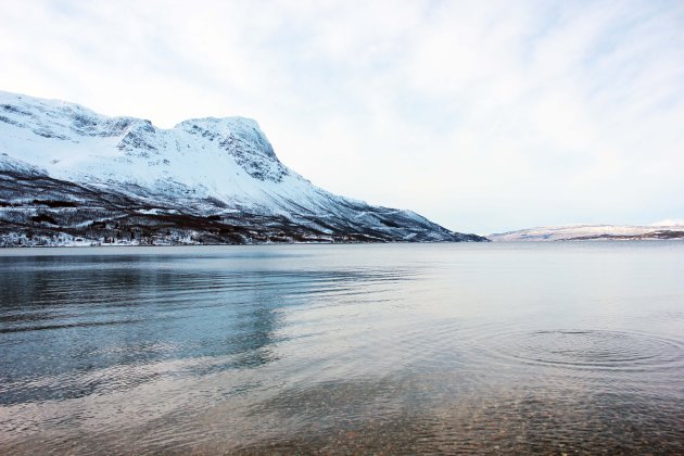 Fjord bij Narvik in Noorwegen