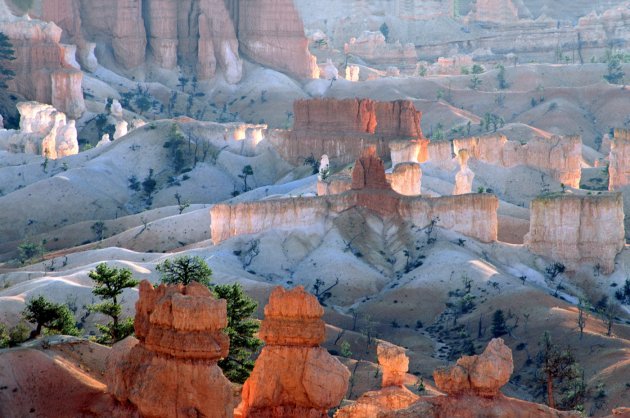 Licht op de rotstorens van Bryce Canyon