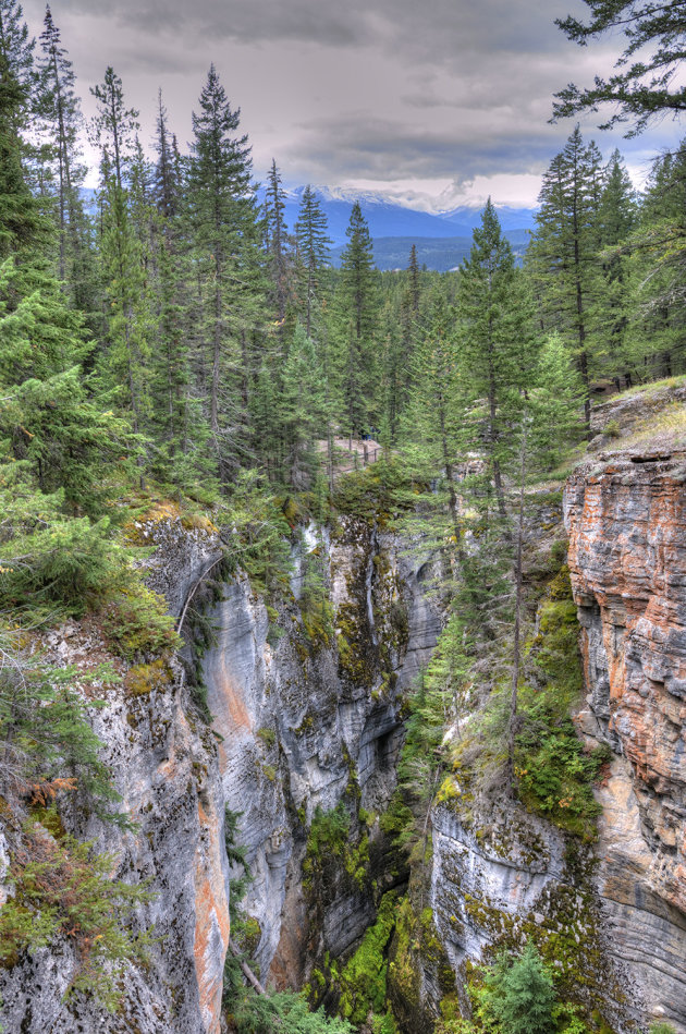 Maligne Canyon