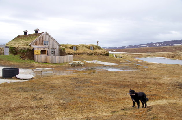 The lonely farmer... and his dog