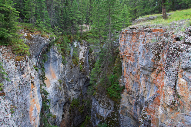 Maligne Canyon