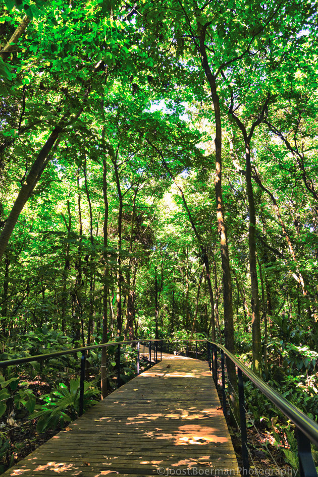 Jardin Botanico