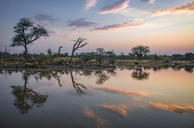 Safari op het water