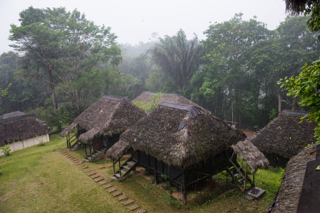 Neem de de-luxe kamer in de Cuyabeno Eco Lodge