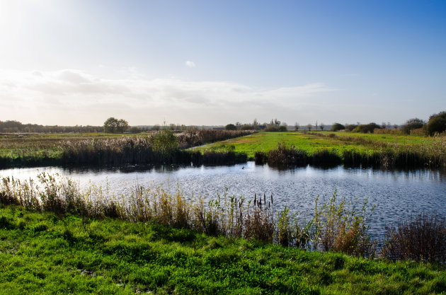 Gementpolder