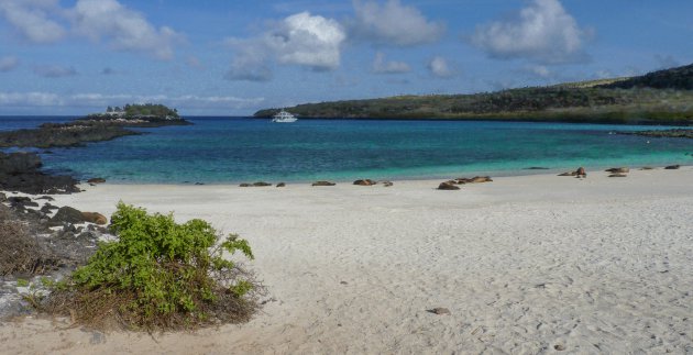 Cruise langs de Galapagos eilanden