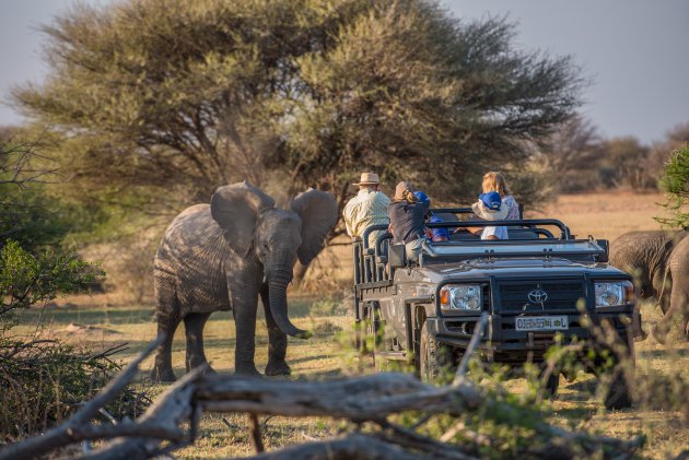 Op safari met de kids