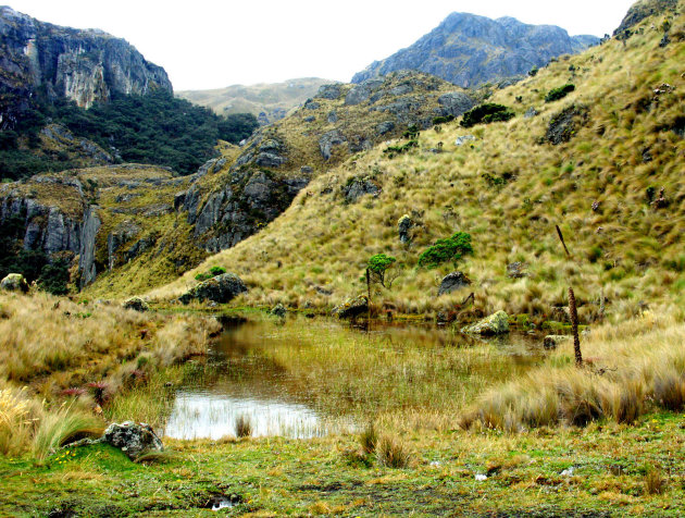 Wandelen in Las Cajas park