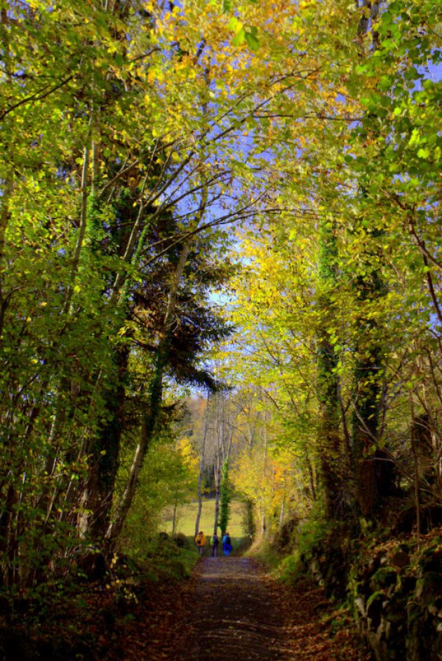 gouden tunnel