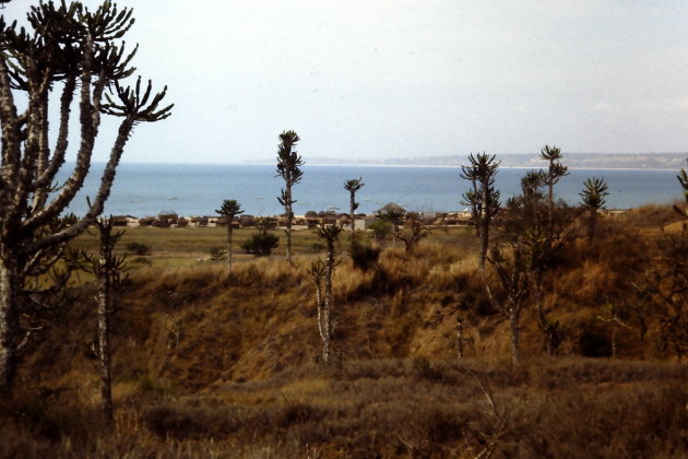 Waanzinnig landschap