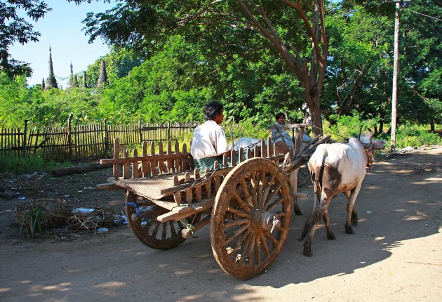 Typisch Myanmar