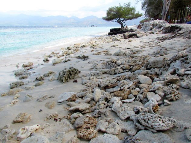 Koraal strand