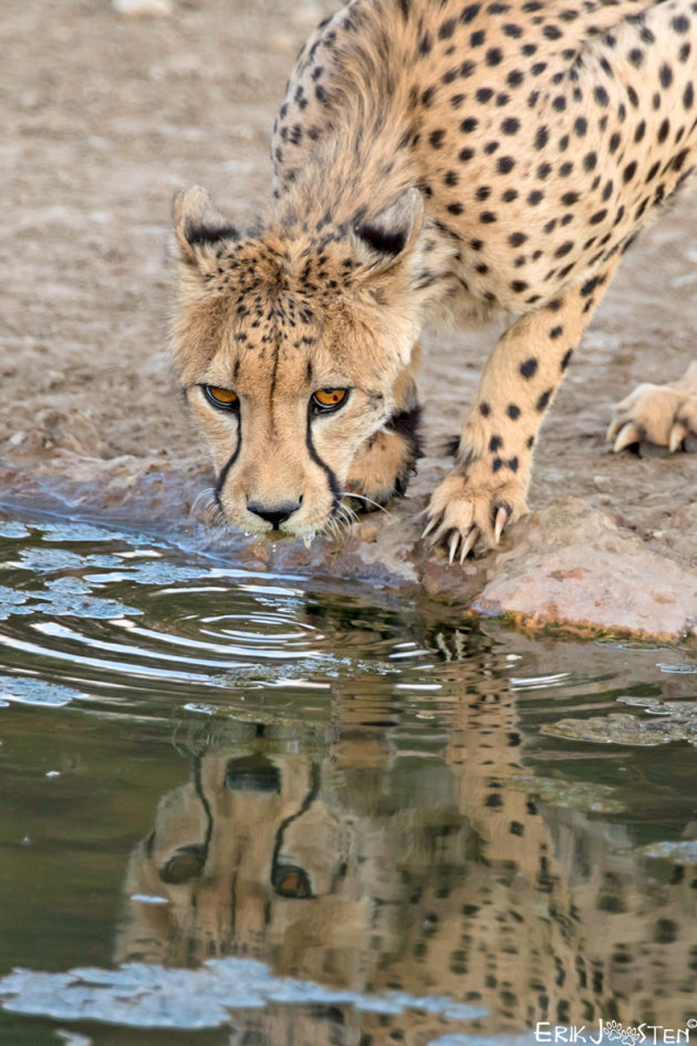 Spiegeltje spiegeltje