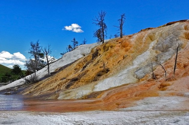 Mammoth Hot Springs