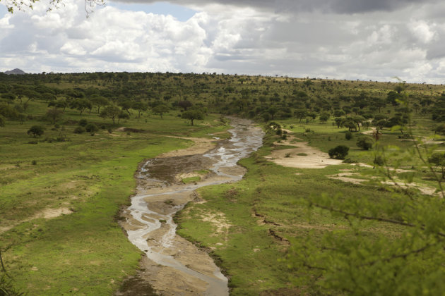 Tarangire rivier